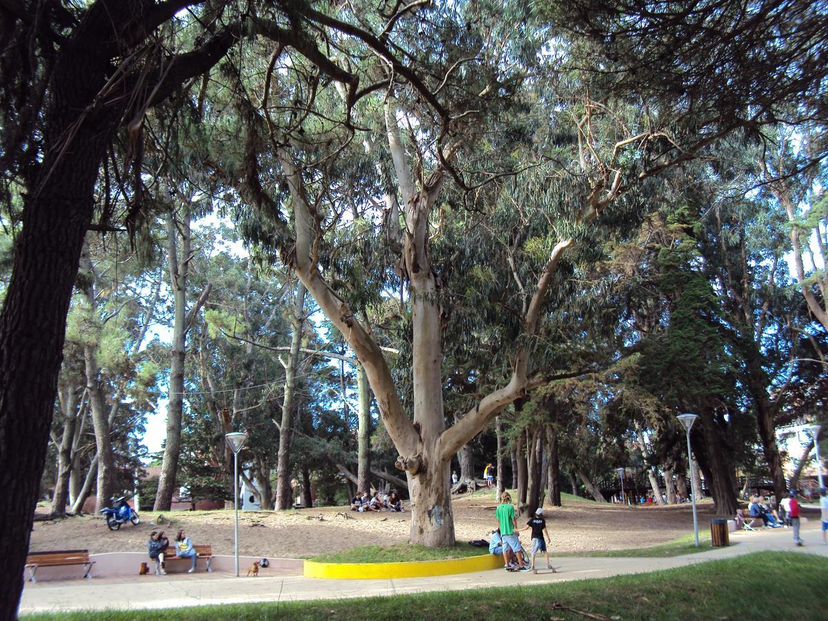 Fatima San Bernardo